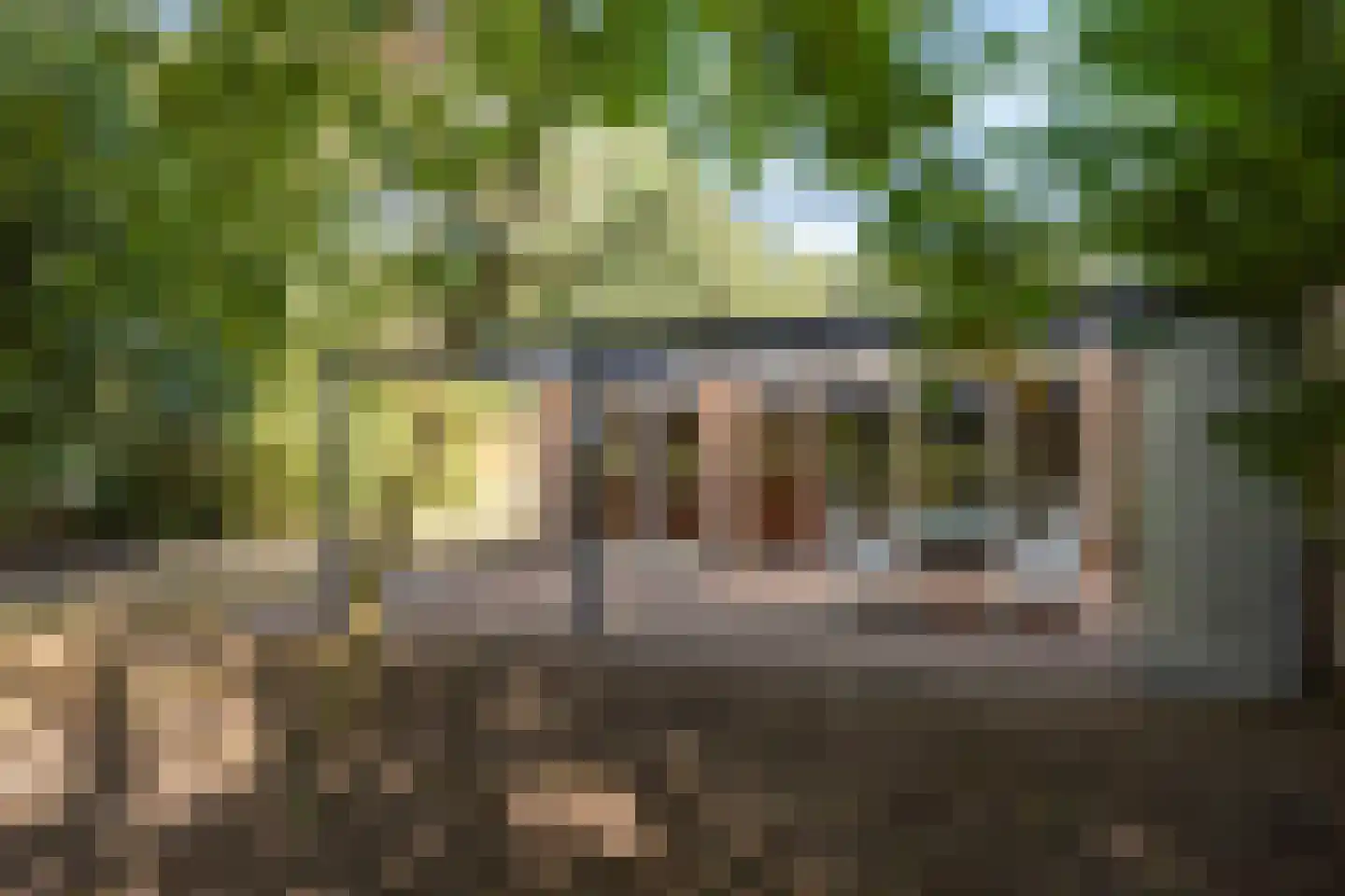 Grove Den 11 Sint-Oedenrode thumbnail 22