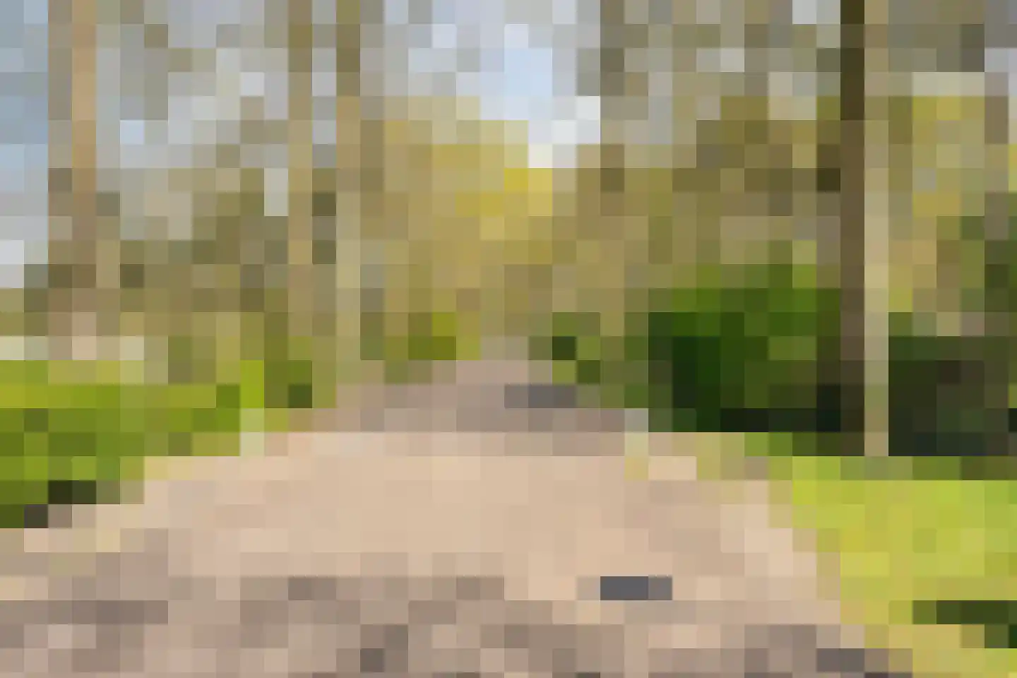 Grove Den 11 Sint-Oedenrode thumbnail 23