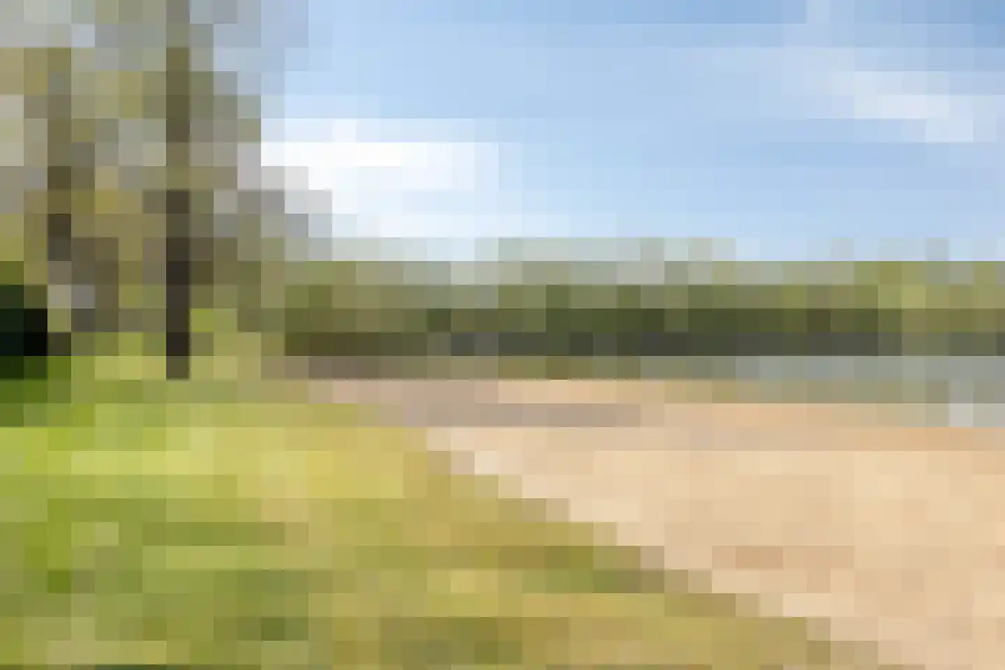 Grove Den 11 Sint-Oedenrode thumbnail 25