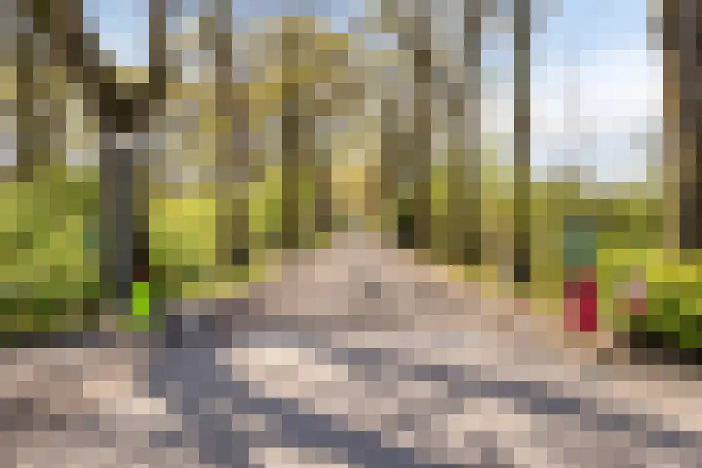 Grove Den 11 Sint-Oedenrode thumbnail 27