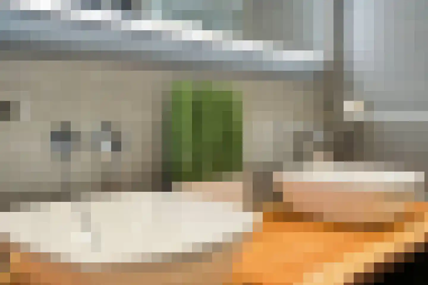Grove Den 12 Sint-Oedenrode thumbnail 19