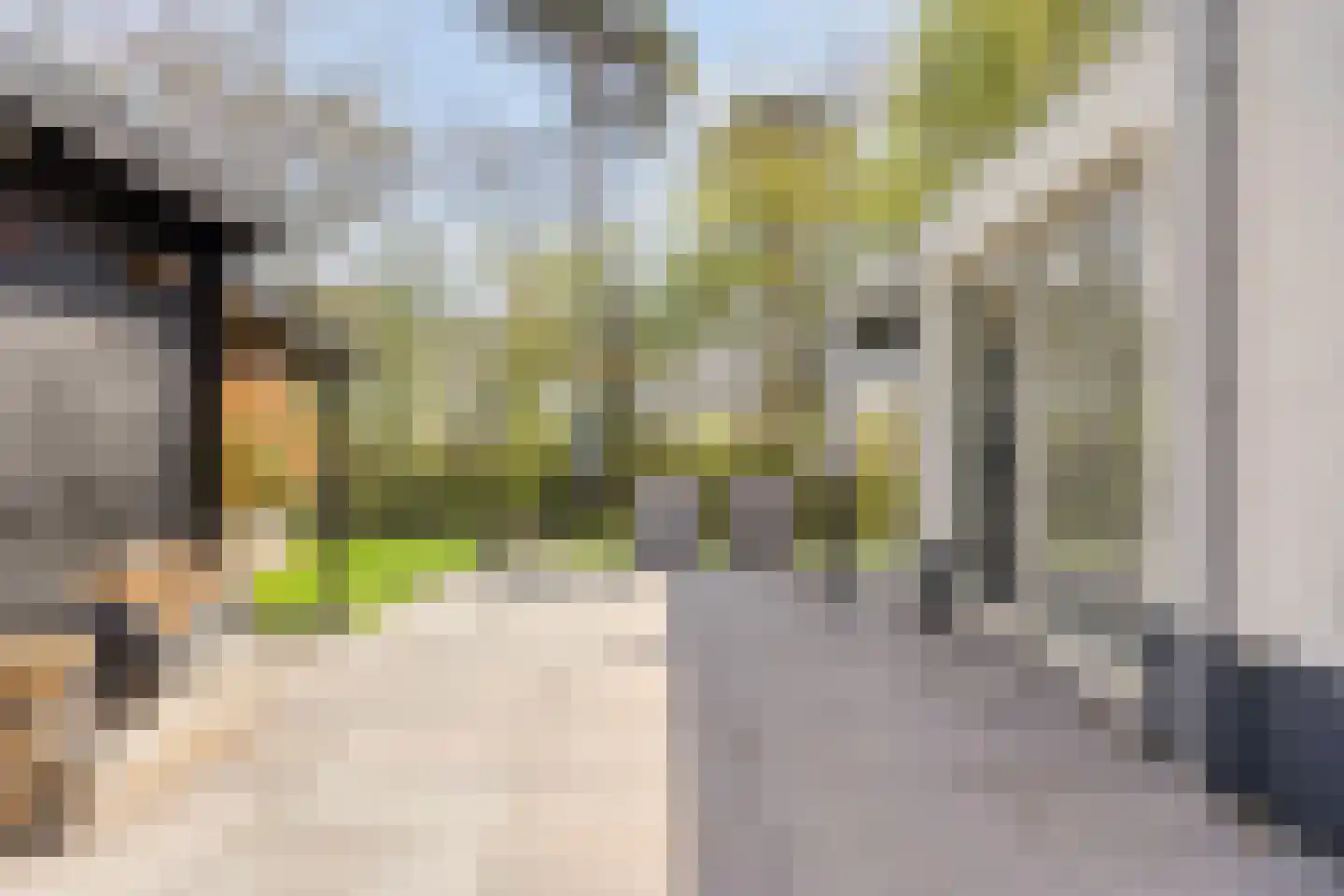 Grove Den 12 Sint-Oedenrode thumbnail 20