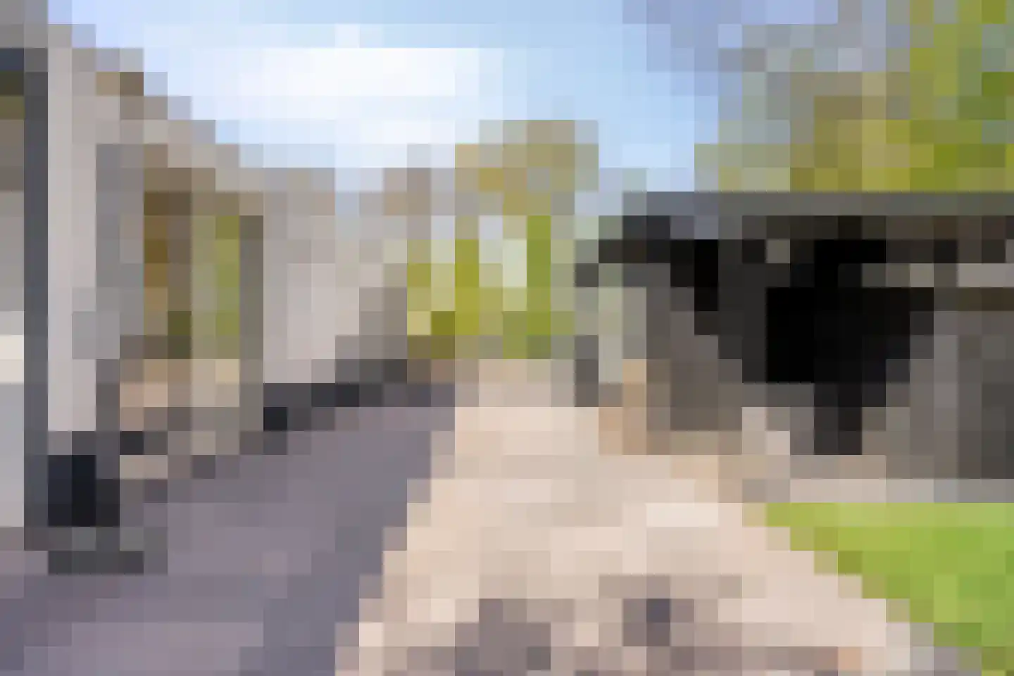 Grove Den 12 Sint-Oedenrode thumbnail 24