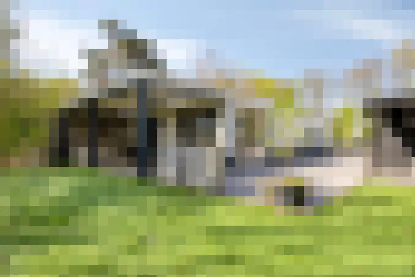 Grove Den 12 Sint-Oedenrode thumbnail 25