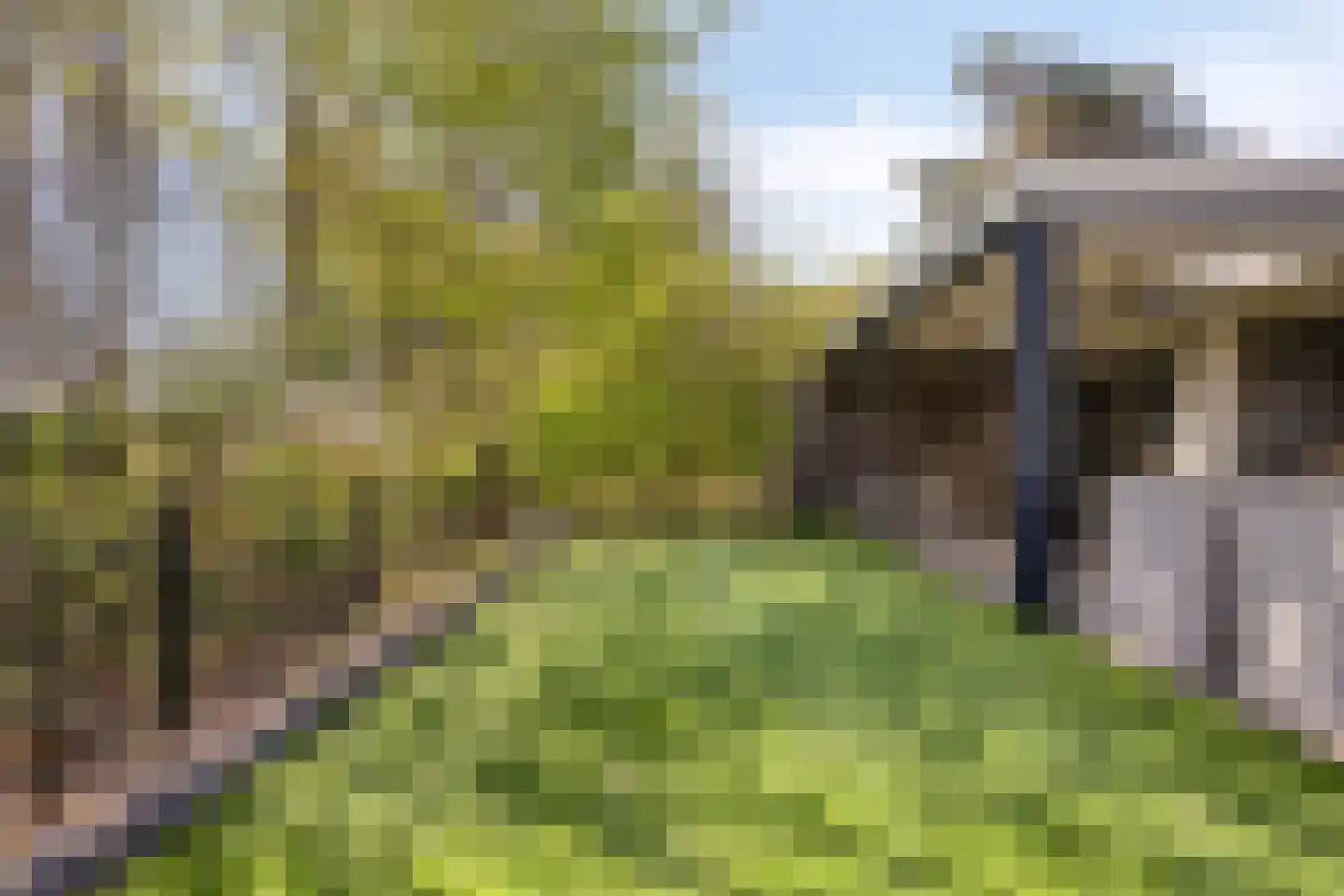 Grove Den 12 Sint-Oedenrode thumbnail 26