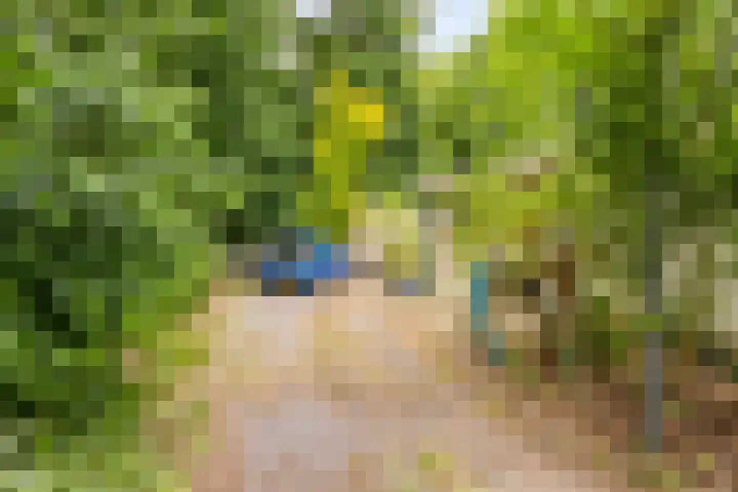 Grove Den 18 Sint-Oedenrode thumbnail 17