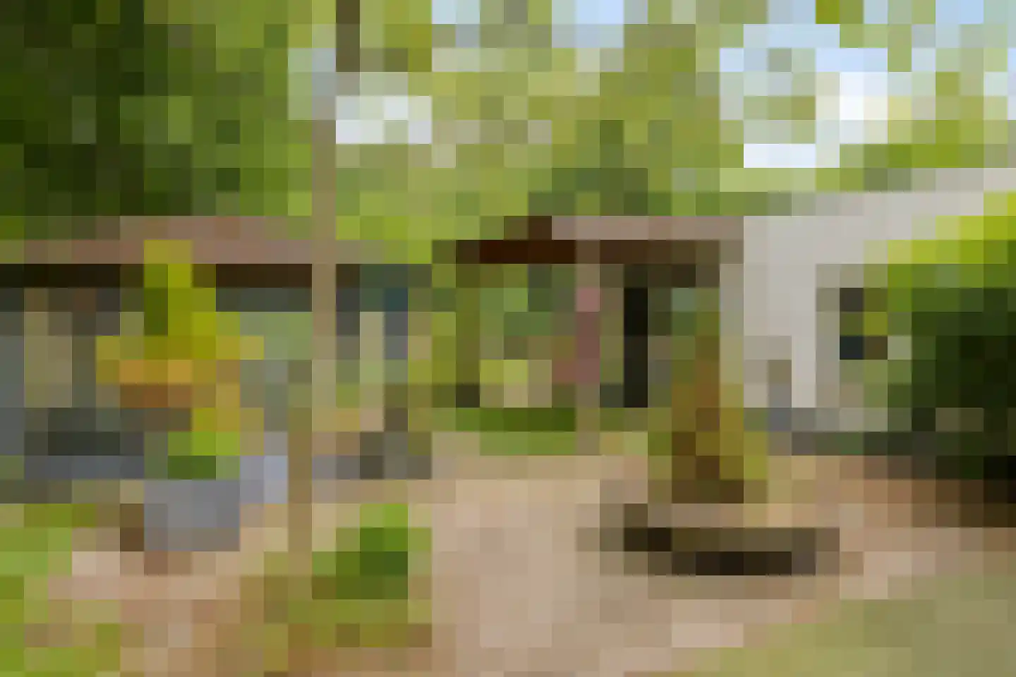 Grove Den 18 Sint-Oedenrode thumbnail 19