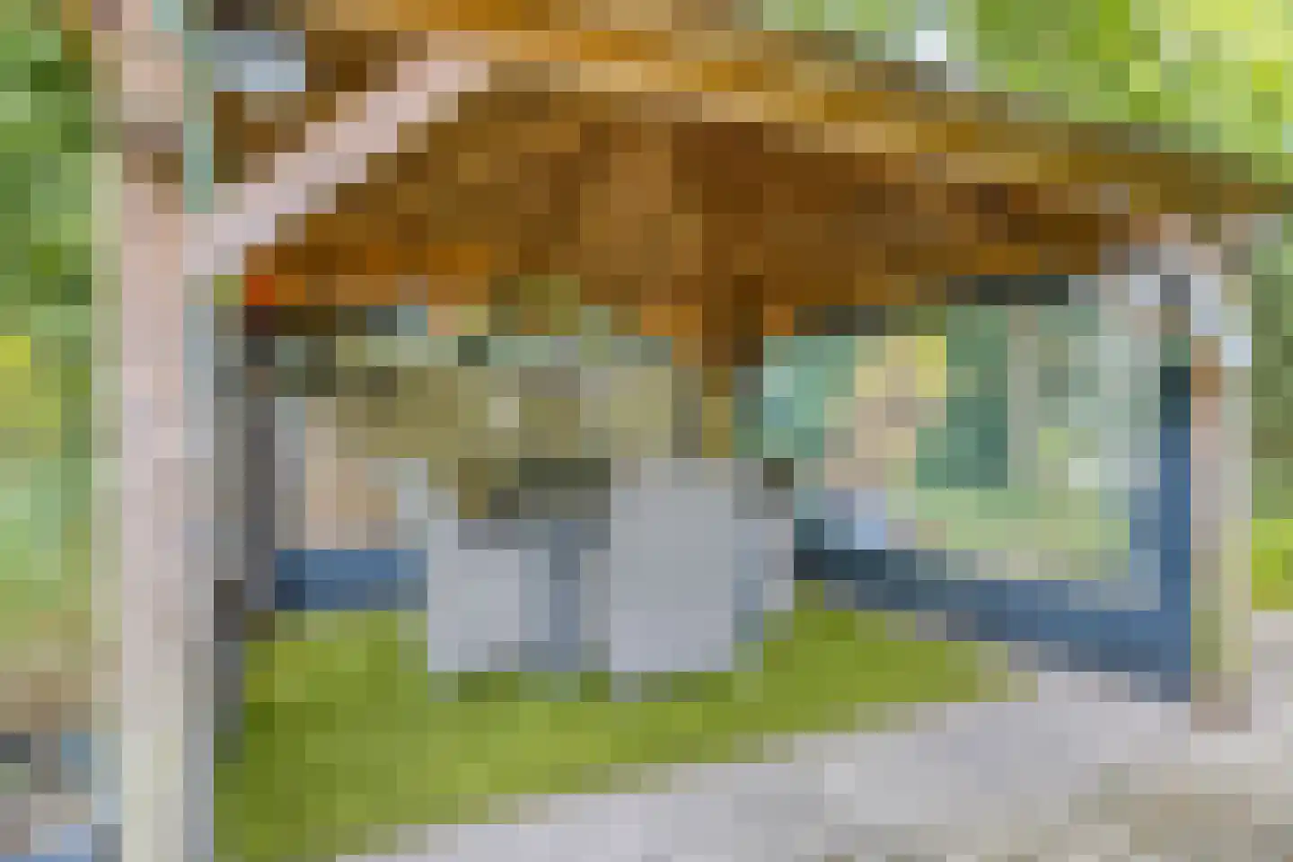 Grove Den 18 Sint-Oedenrode thumbnail 20