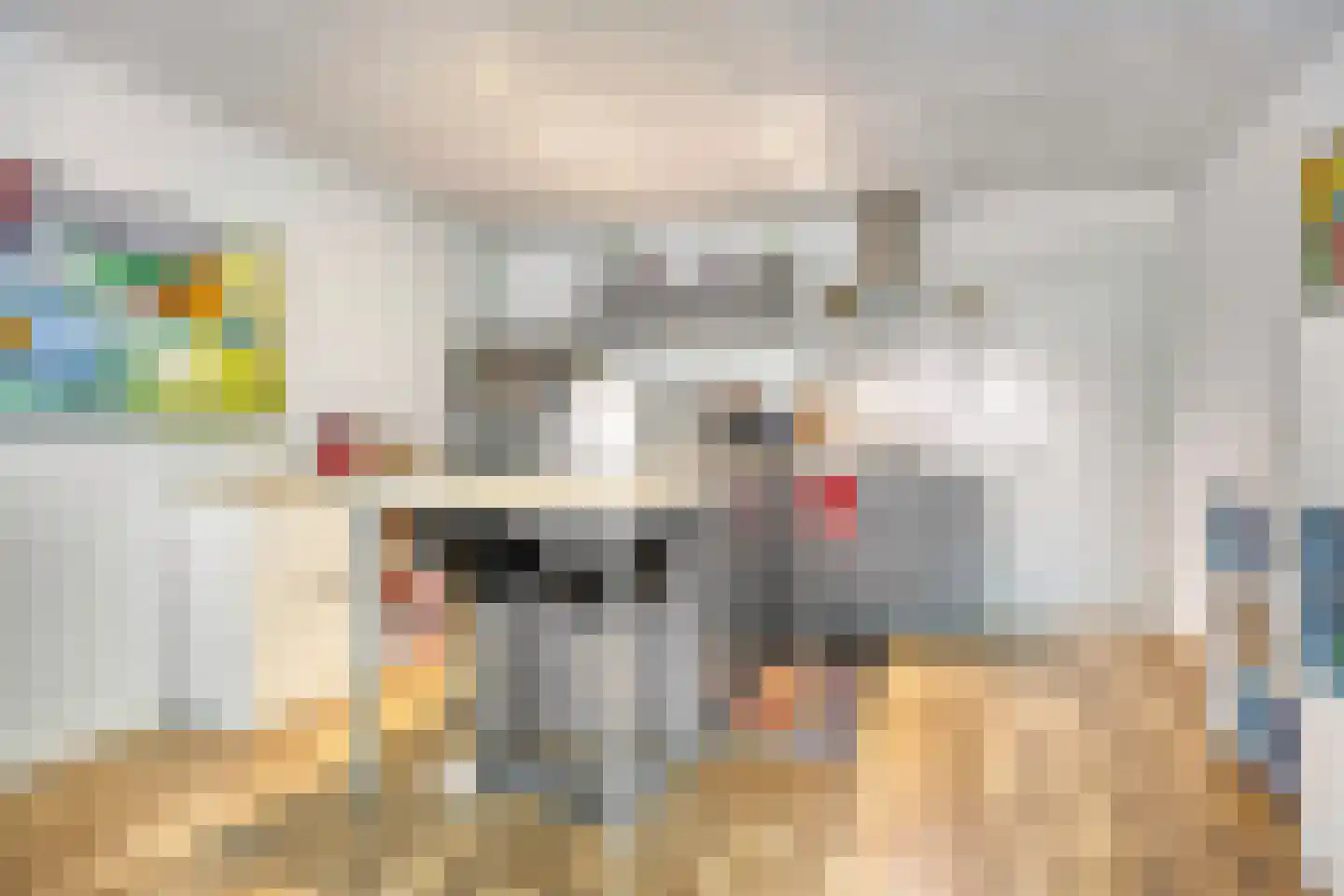 Grove Den 18 Sint-Oedenrode thumbnail 9