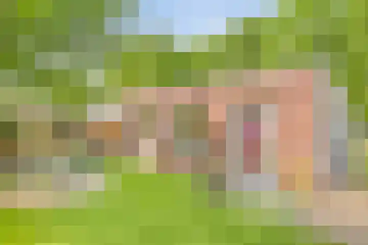 Grove Den 4 Sint-Oedenrode thumbnail 20