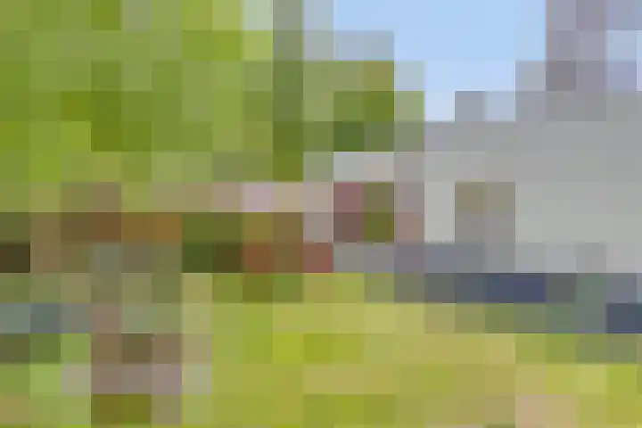 Grove Den 4 Sint-Oedenrode thumbnail 21
