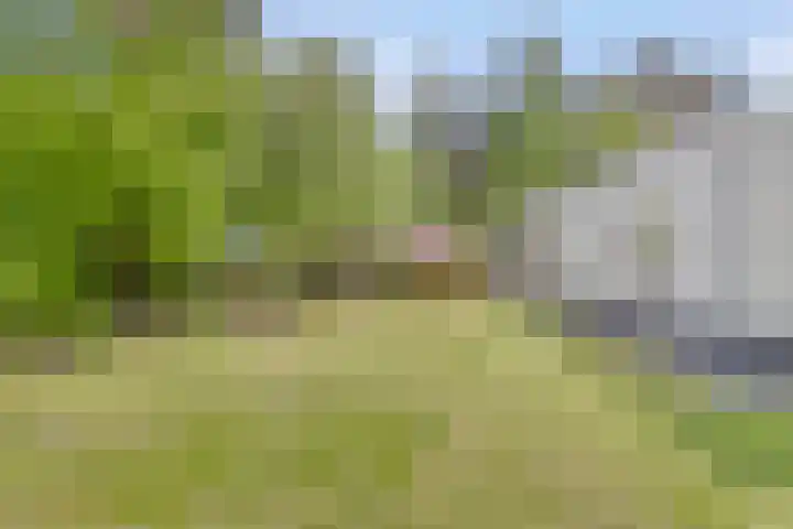 Grove Den 4 Sint-Oedenrode thumbnail 22