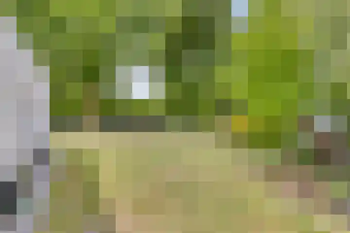 Grove Den 4 Sint-Oedenrode thumbnail 23
