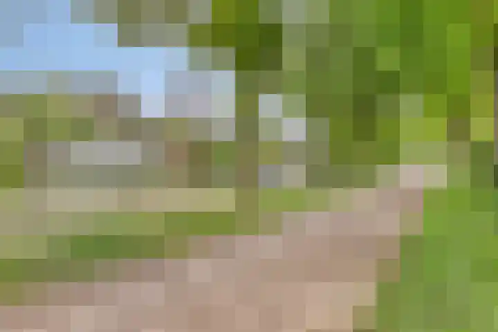 Grove Den 4 Sint-Oedenrode thumbnail 25