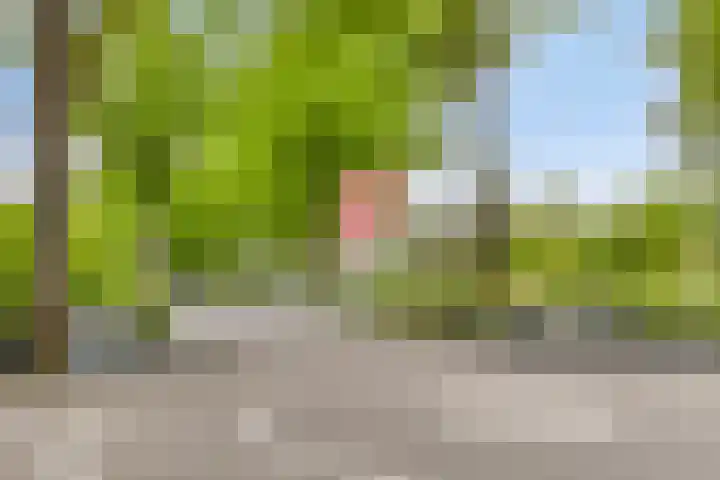 Grove Den 4 Sint-Oedenrode thumbnail 27