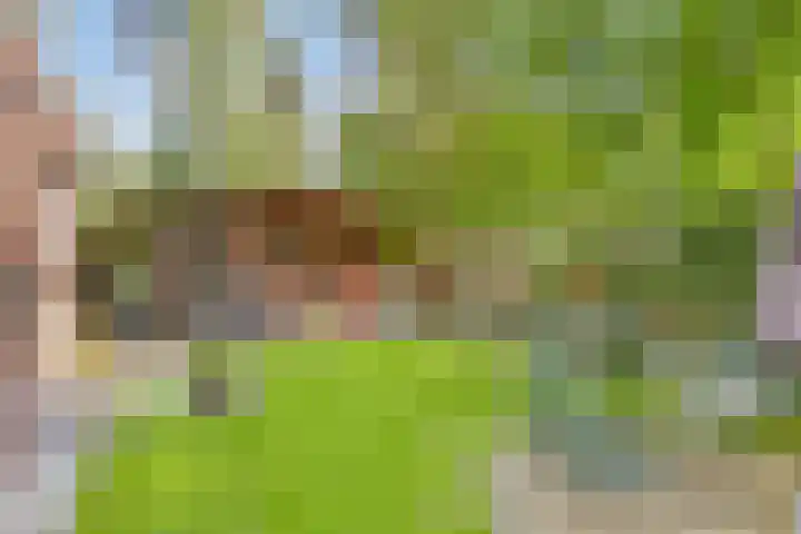 Grove Den 4 Sint-Oedenrode thumbnail 4