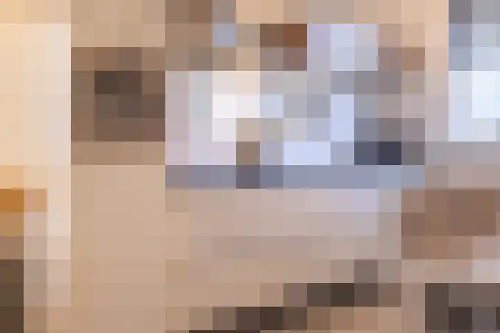 Grovestins 101 Almelo thumbnail 10
