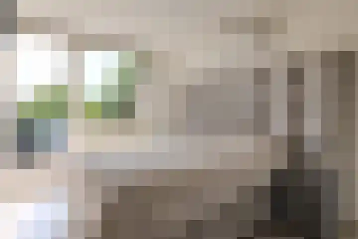 Grovestins 101 Almelo thumbnail 16
