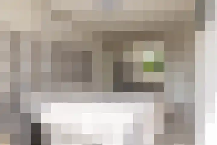 Grovestins 101 Almelo thumbnail 17