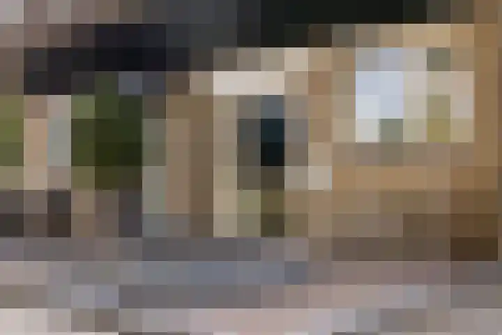 Grovestins 101 Almelo thumbnail 25