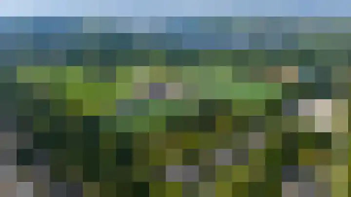 Grovestins 101 Almelo thumbnail 37