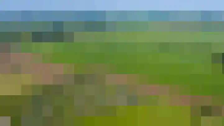 Grovestins 101 Almelo thumbnail 38