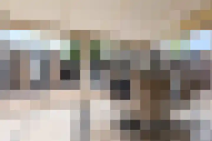 Grovestins 101 Almelo thumbnail 5