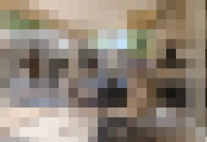 Grovestins 101 Almelo thumbnail 7