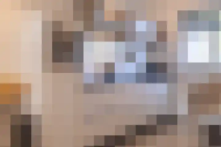 Grovestins 101 Almelo thumbnail 8
