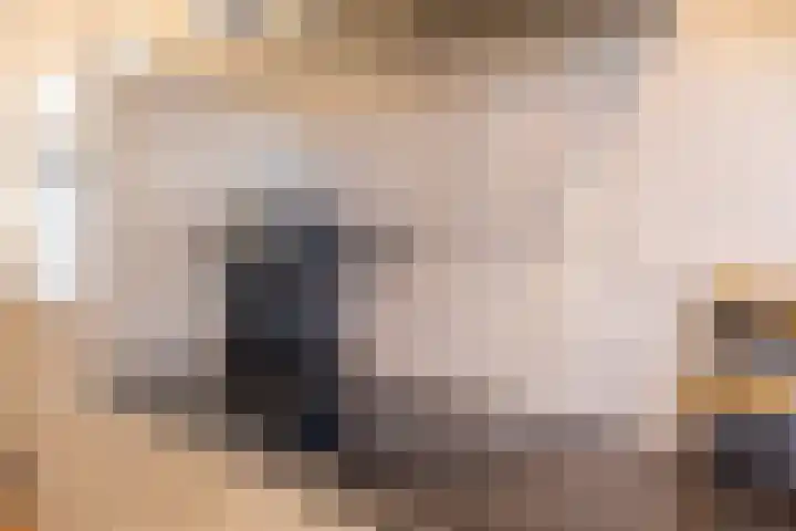 Grovestins 101 Almelo thumbnail 9