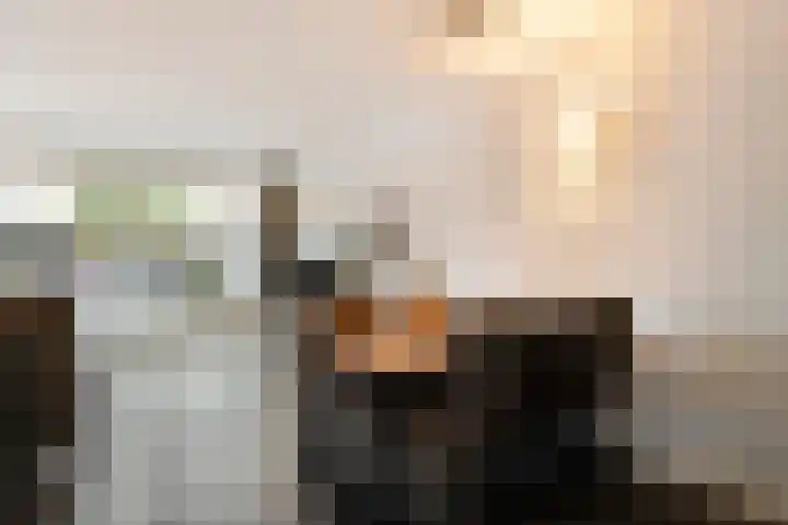 Grovestins 105 Almelo thumbnail 10