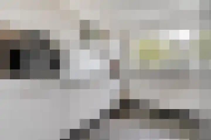 Grovestins 105 Almelo thumbnail 11
