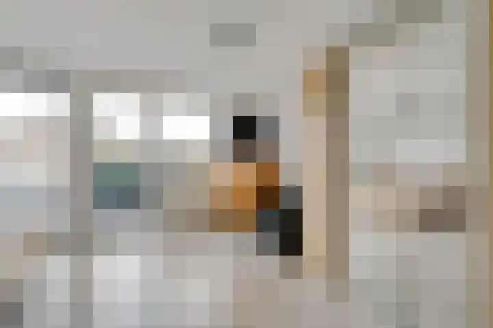 Grovestins 105 Almelo thumbnail 15
