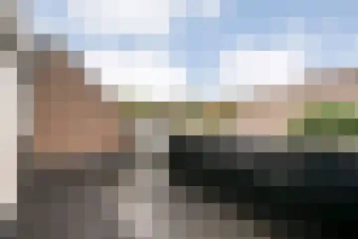 Grovestins 105 Almelo thumbnail 16