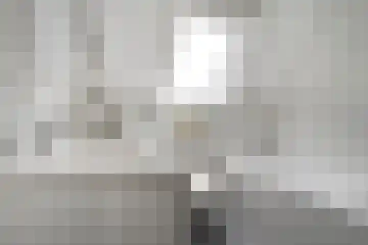 Grovestins 105 Almelo thumbnail 20