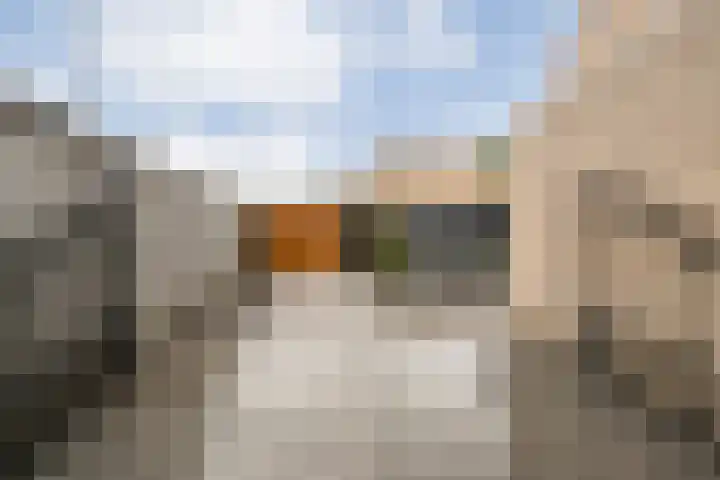 Grovestins 105 Almelo thumbnail 25
