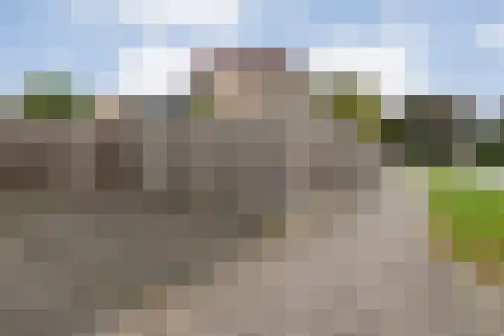 Grovestins 105 Almelo thumbnail 30