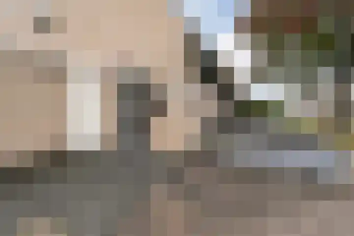Grovestins 105 Almelo thumbnail 5