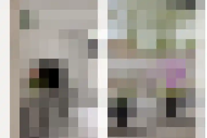 Grovestins 11 Almelo thumbnail 13