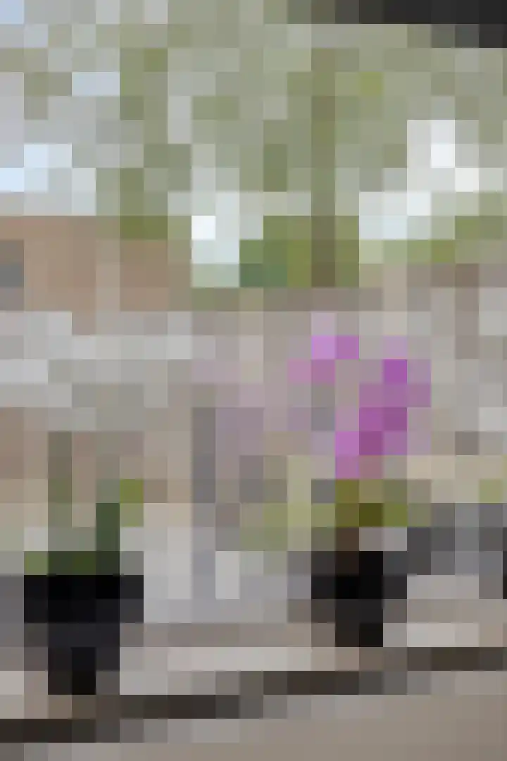 Grovestins 11 Almelo thumbnail 14