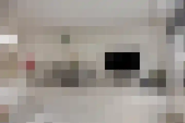 Grovestins 11 Almelo thumbnail 15