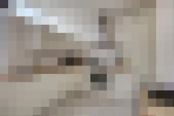 Grovestins 11 Almelo thumbnail 16