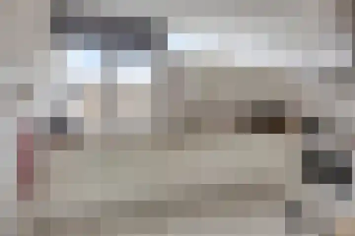 Grovestins 11 Almelo thumbnail 17