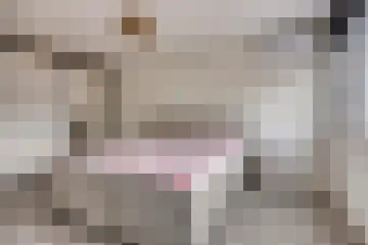Grovestins 11 Almelo thumbnail 23