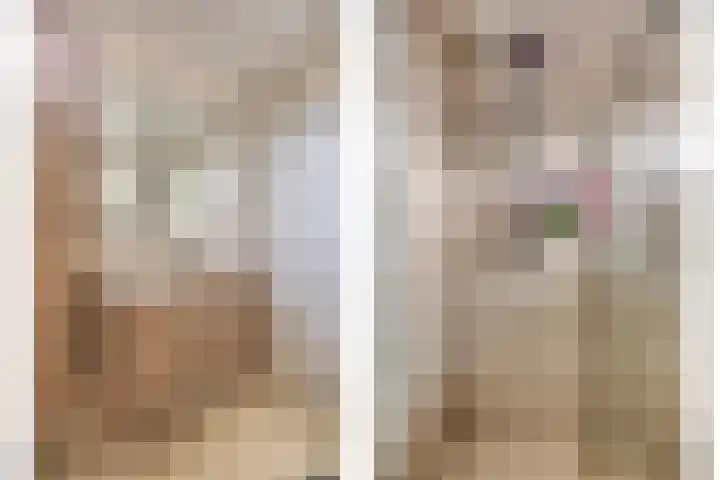 Grovestins 11 Almelo thumbnail 27