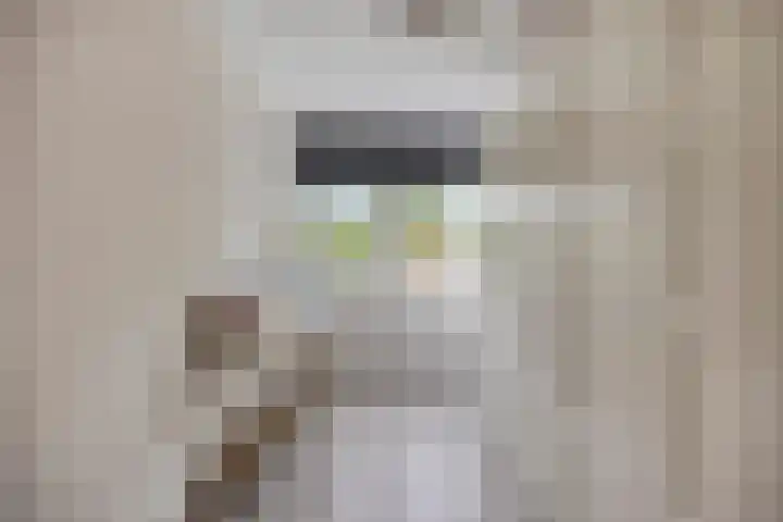 Grovestins 11 Almelo thumbnail 28