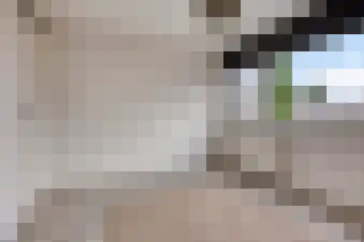 Grovestins 11 Almelo thumbnail 30