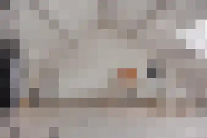 Grovestins 11 Almelo thumbnail 32
