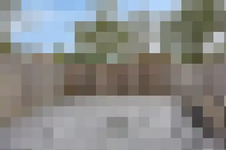 Grovestins 11 Almelo thumbnail 34