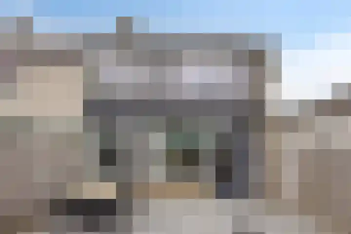Grovestins 11 Almelo thumbnail 35
